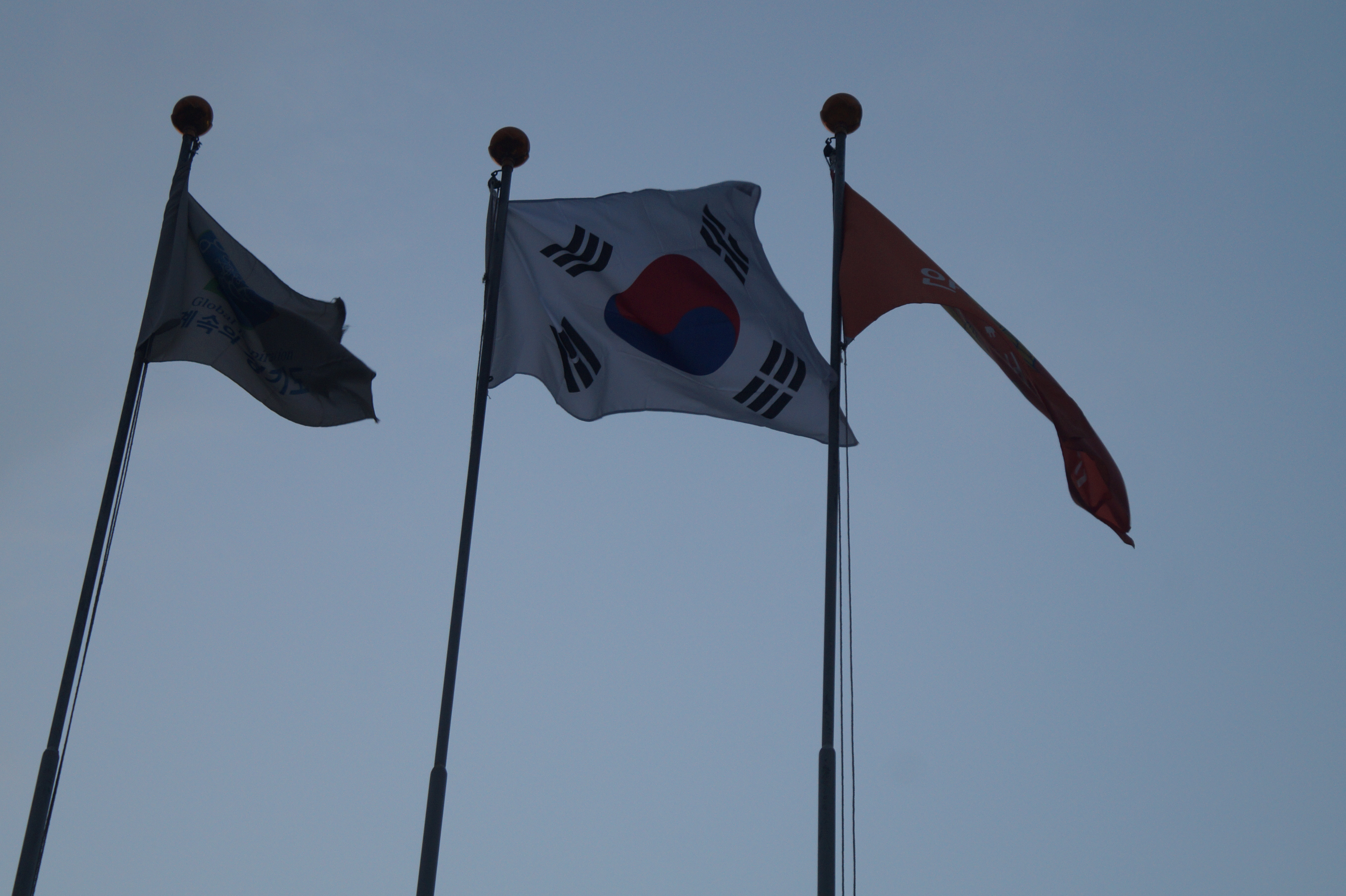 국제